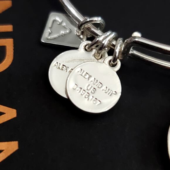 Alex and Ani Arrows of Friendship Charm Bracelet - Picture 8 of 9